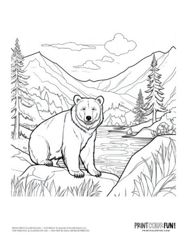 Bear coloring page drawing from PrintColorFun com (2)