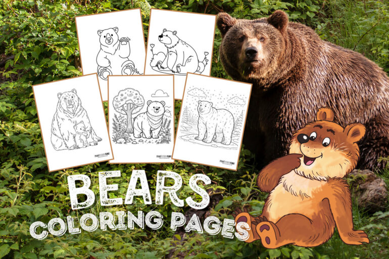 Bear coloring pages at PrintColorFun com