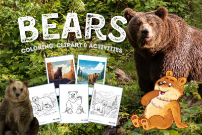 Bears coloring pages clipart and activities at PrintColorFun com