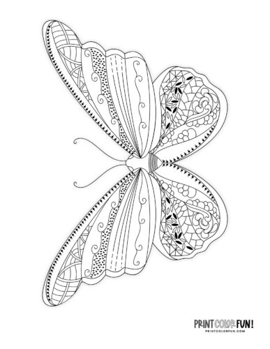 Beautiful and detailed butterfly coloring page - PrintColorFun com