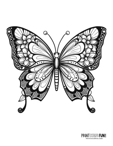Beautiful flowery butterfly coloring page - PrintColorFun com