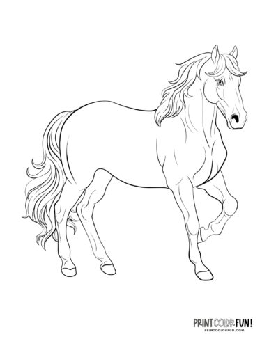 Beautiful horse coloring page at PrintColorFun com