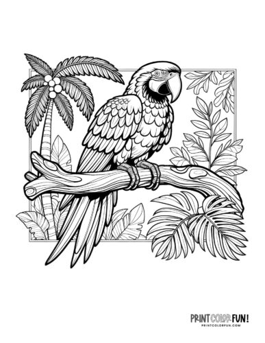 Parrot clipart & coloring pages: Beautiful macaw parrot in the tropics coloring page - PrintColorFun com