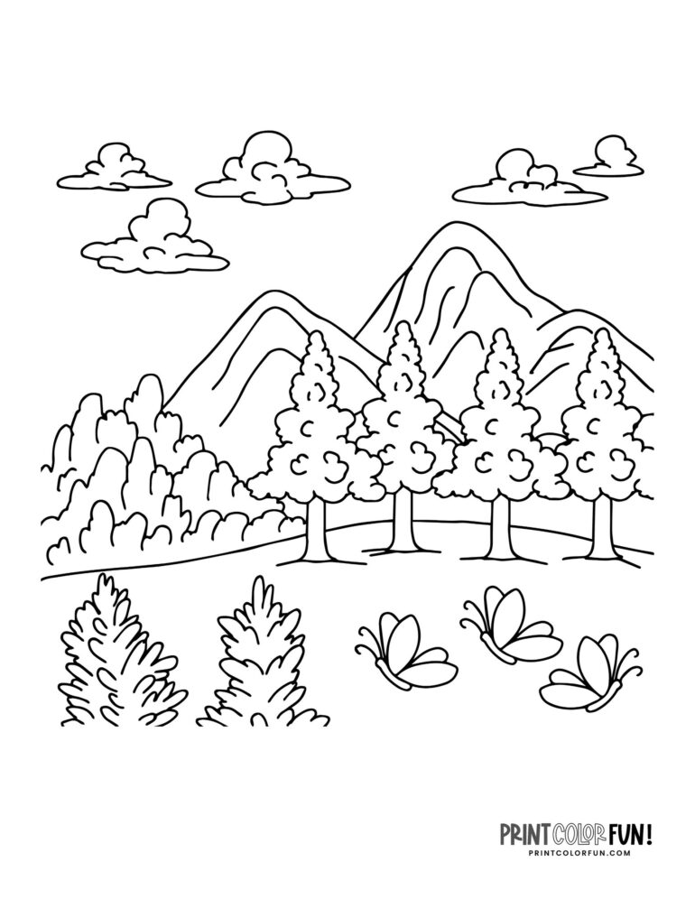 15 Forest clipart & coloring pages: Learning fun with mountains, trees ...