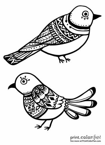 Beautiful ornamental bird designs