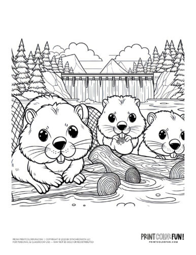 Beaver animal color clipart from PrintColorFun com (12)