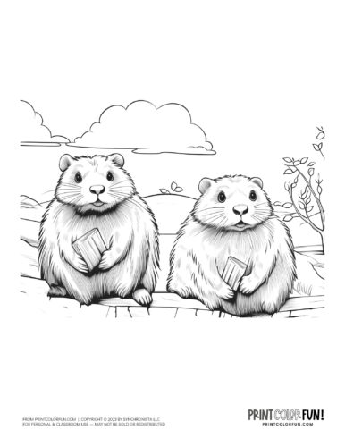 Beaver animal color clipart from PrintColorFun com (16)