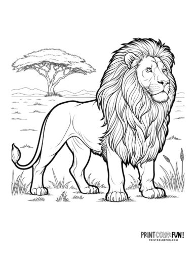 Big lion standing outside coloring page - PrintColorFun com