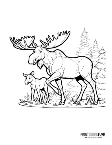 Big moose and baby moose coloring page - PrintColorFun com