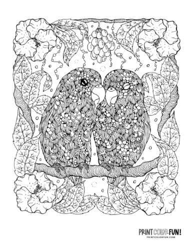 Bird adult coloring page clipart from PrintColorFun com 1