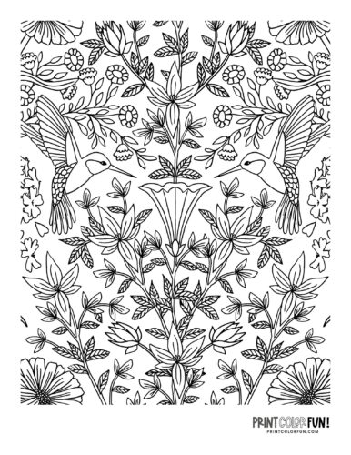Bird adult coloring page clipart from PrintColorFun com 2
