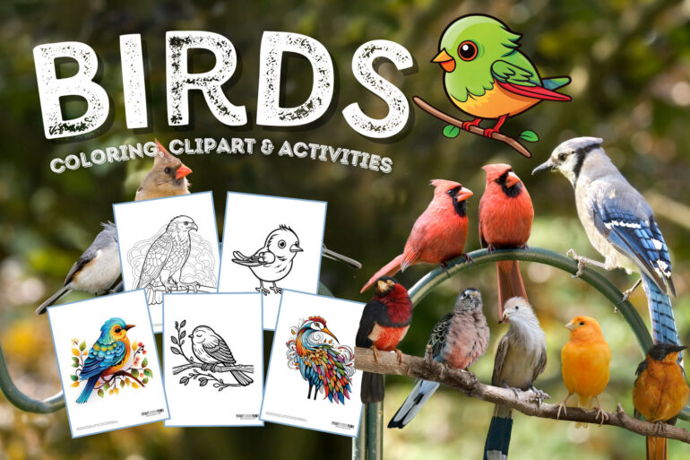 Bird clipart, coloring pages, drawings and activities at PrintColorFun com