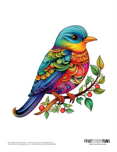 Bird color clipart from PrintColorFun com 01