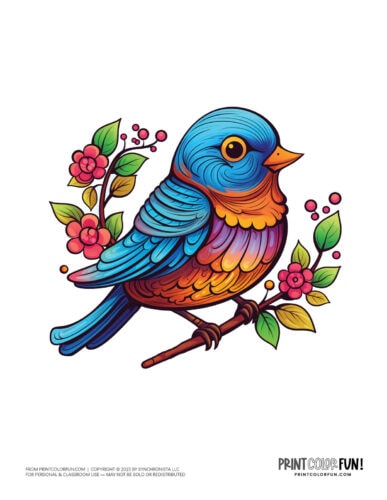 Bird color clipart from PrintColorFun com 03
