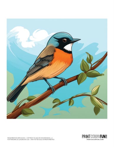 Bird color clipart from PrintColorFun com 06