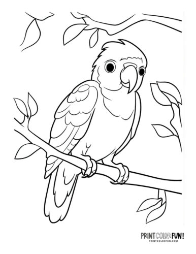 Bird coloring page clipart from PrintColorFun com 01