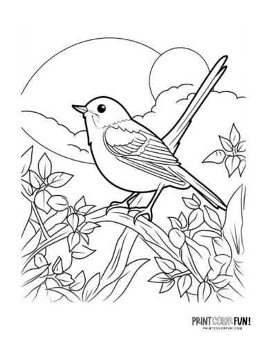 Bird coloring page clipart from PrintColorFun com 02