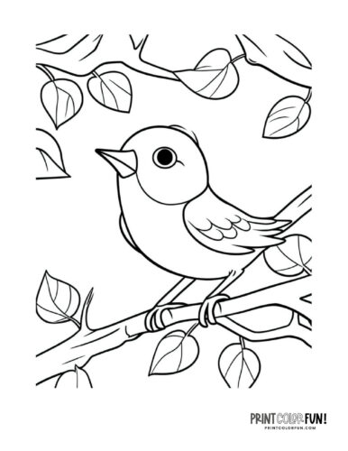 Bird coloring page clipart from PrintColorFun com 03