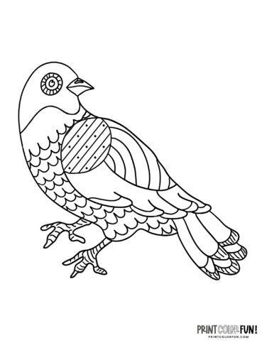 Bird coloring page clipart from PrintColorFun com 05