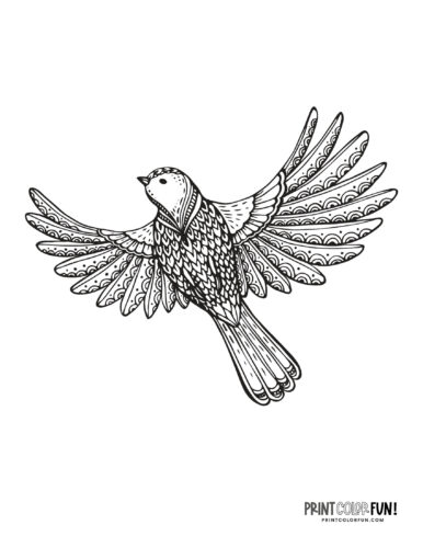 Bird coloring page clipart from PrintColorFun com 09