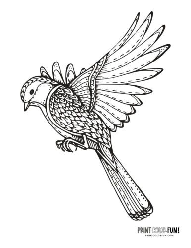 Bird coloring page clipart from PrintColorFun com 10