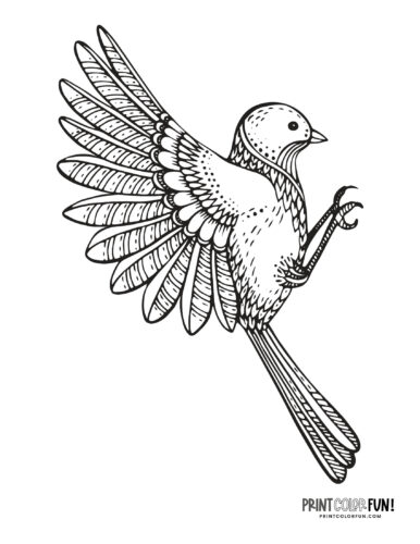 Bird coloring page clipart from PrintColorFun com 11