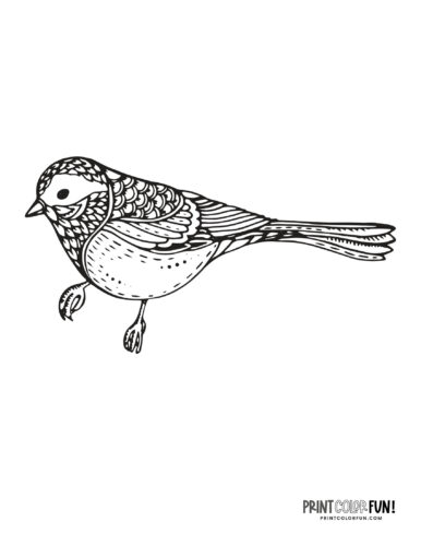 Bird coloring page clipart from PrintColorFun com 12