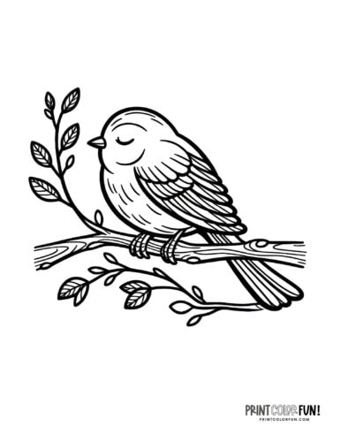 Bird coloring page clipart from PrintColorFun com 14