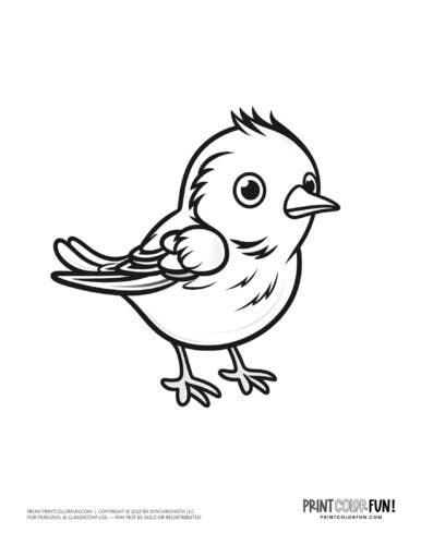 Bird coloring page clipart from PrintColorFun com 20