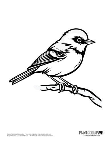 Bird coloring page clipart from PrintColorFun com 21