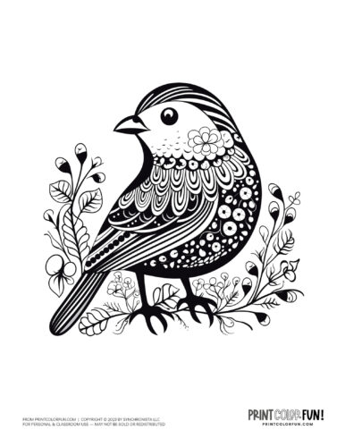 Bird coloring page clipart from PrintColorFun com 23