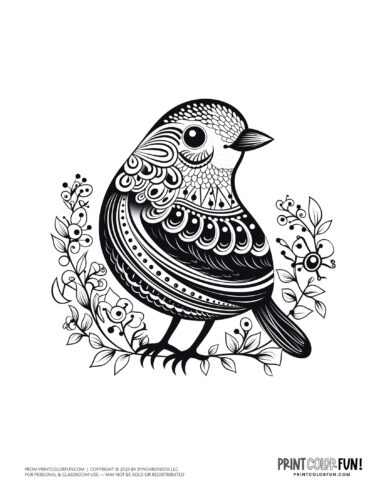 Bird coloring page clipart from PrintColorFun com 26