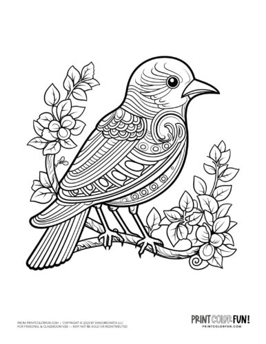 Bird coloring page clipart from PrintColorFun com 29