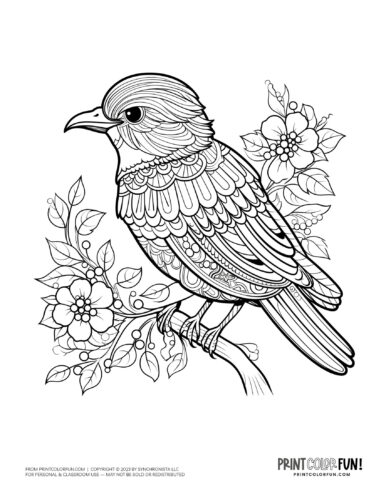 Bird coloring page clipart from PrintColorFun com 31