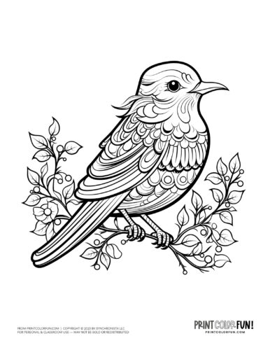 Bird coloring page clipart from PrintColorFun com 32