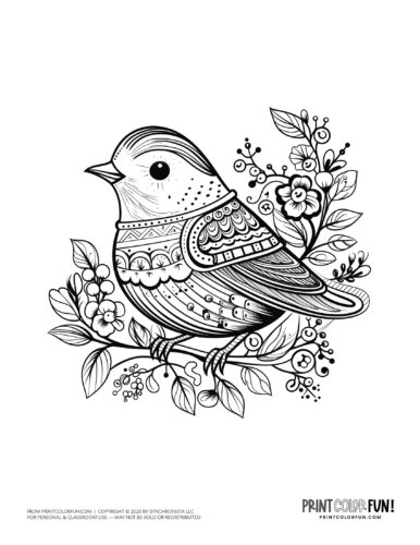 Bird coloring page clipart from PrintColorFun com 34