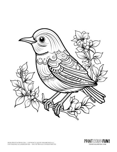 Bird coloring page clipart from PrintColorFun com 37