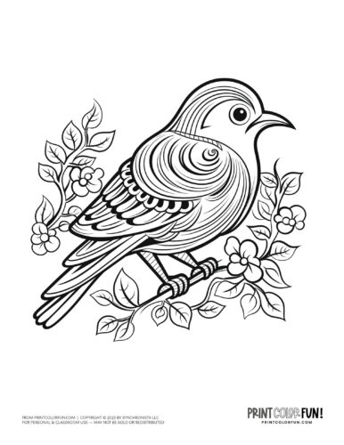 Bird coloring page clipart from PrintColorFun com 38