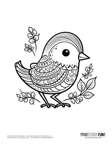 Bird coloring page clipart from PrintColorFun com 40