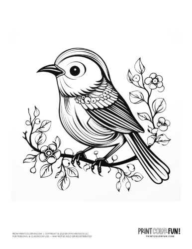 Bird coloring page clipart from PrintColorFun com 46