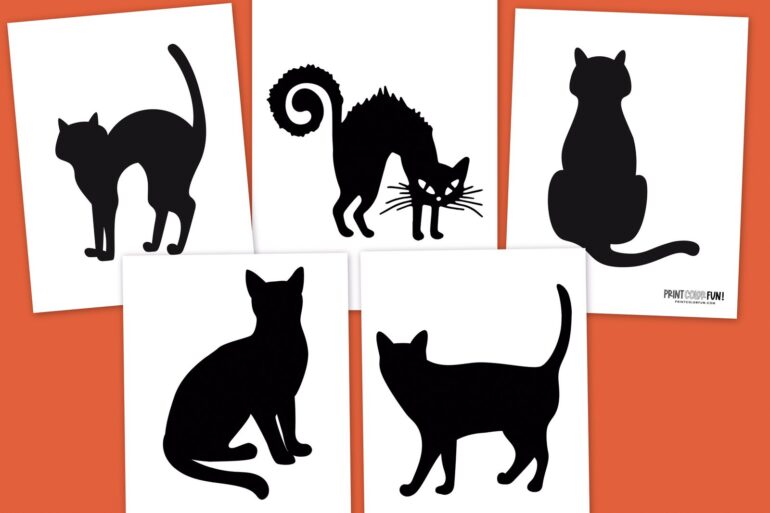 Black cat pumpkin carving stencils 5 cats for Halloween