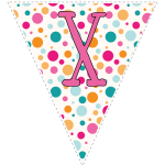 Bright polka dot decoration flags with pink letters 128