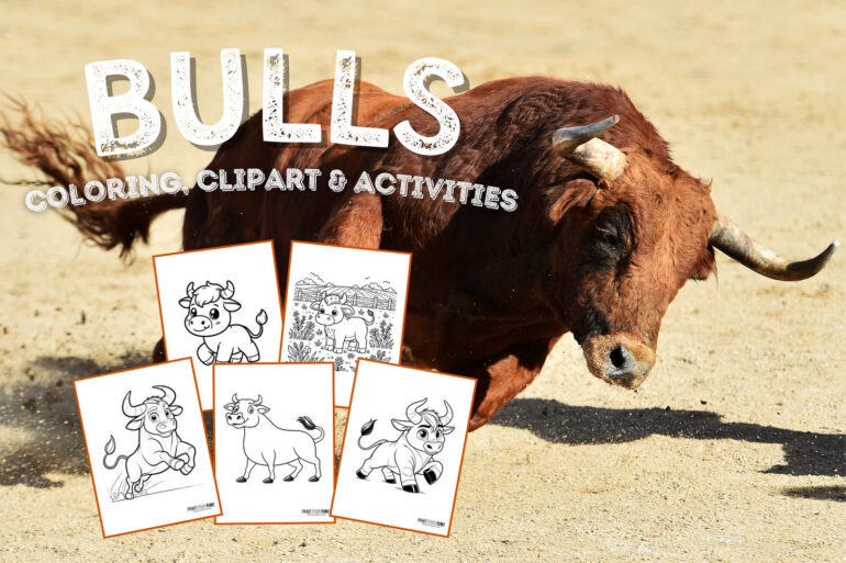 Bull coloring page clipart activities from PrintColorFun com