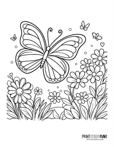 Butterfly and daisies coloring page - PrintColorFun com