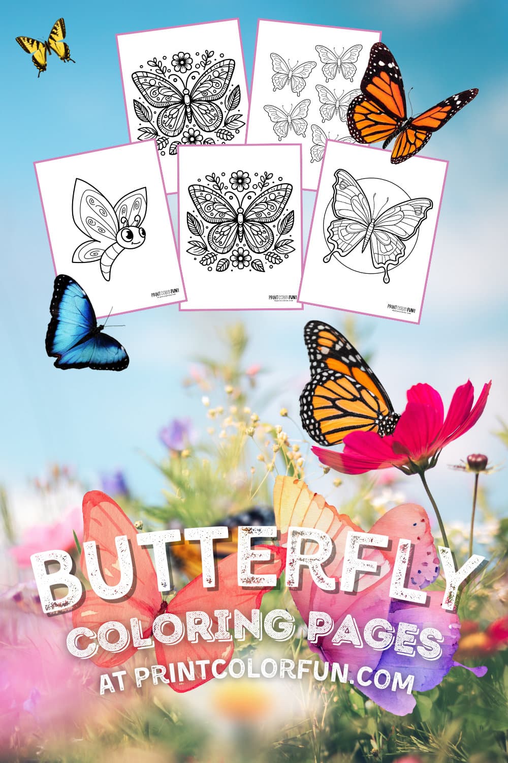 Butterfly coloring pages and animal clipart - PrintColorFun com