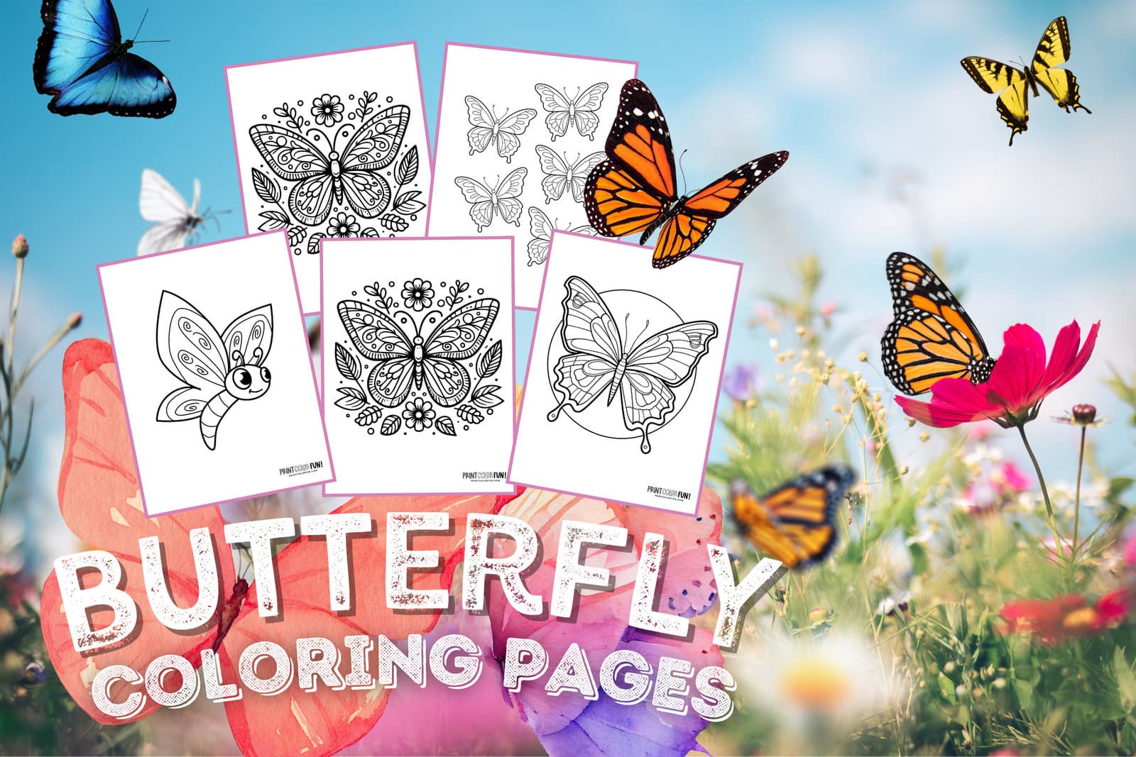 Page 9 - Free and customizable butterfly templates