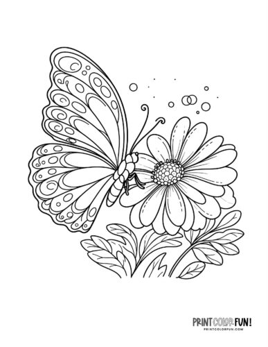Butterfly landing on a flower coloring page - PrintColorFun com