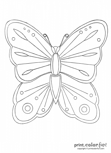 Butterfly-to-color-1916