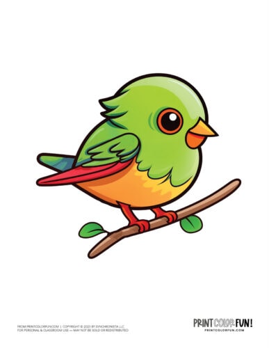 Cartoon bird color clipart from PrintColorFun com 3