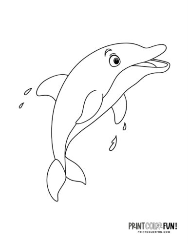 Cartoon dolphin leaping - Coloring printable